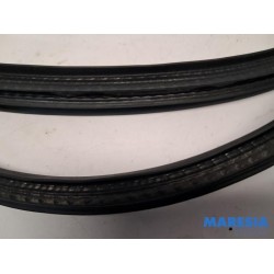 Renault - Clio - Portierrubber 4Deurs rechts-achter
