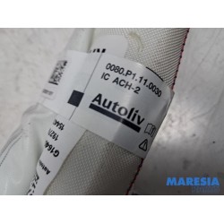 Renault - Clio - Airbag Himmel rechts