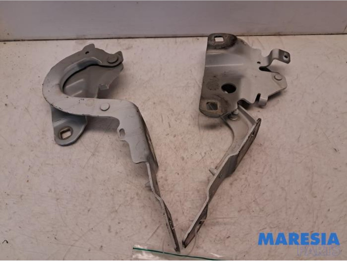 Renault - ZOE - Bonnet Hinge