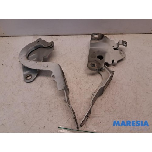 Renault - ZOE - Bonnet Hinge