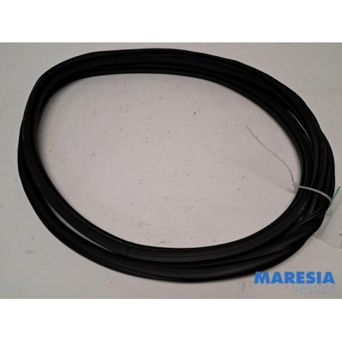 Citroen - C3 - Front door seal 4-door, right