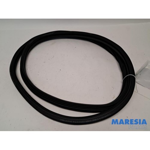 Citroen - C3 - Rear door seal 4-door, right