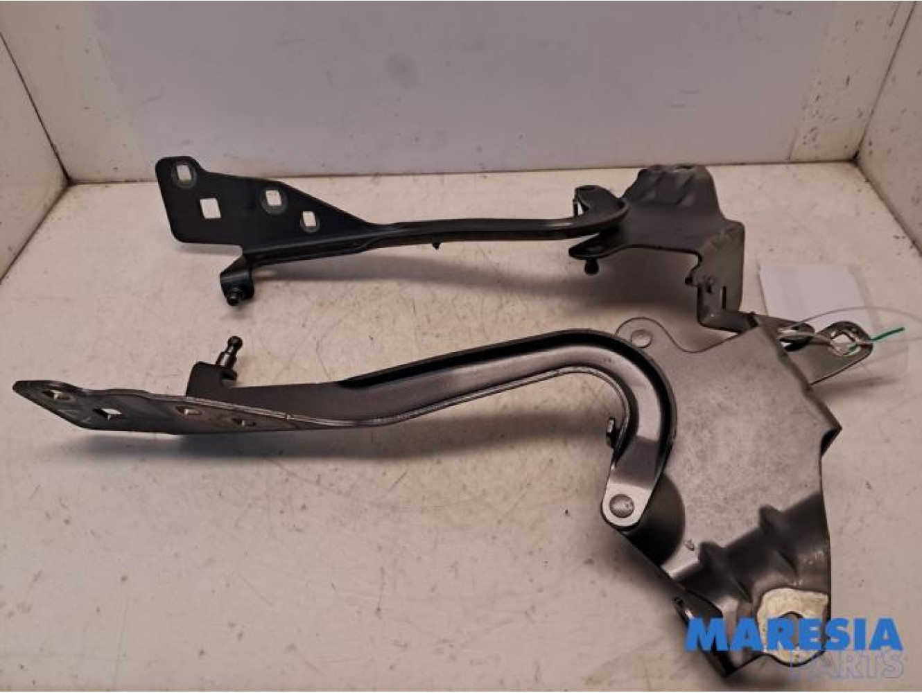 Renault - Scenic - Bonnet Hinge