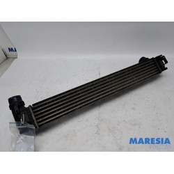 Renault - Scenic - Intercooler