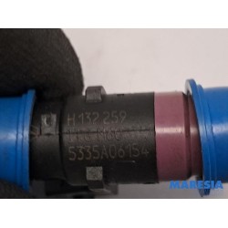 Renault - Clio - Injector (petrol injection)