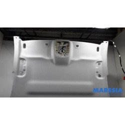 Peugeot - 308 - Hemelbekleding