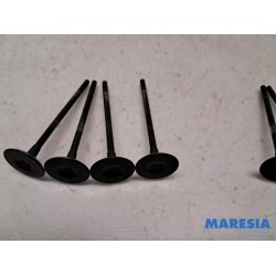 Renault - Megane - Induction valve