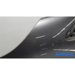 Renault - Clio - Front wing, left
