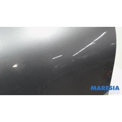Renault - Clio - Front wing, left