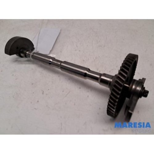 Citroen - C4 Cactus - Balance shaft