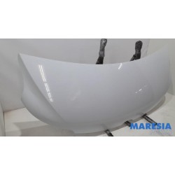 Renault - Master - Bonnet
