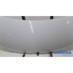 Renault - Master - Bonnet