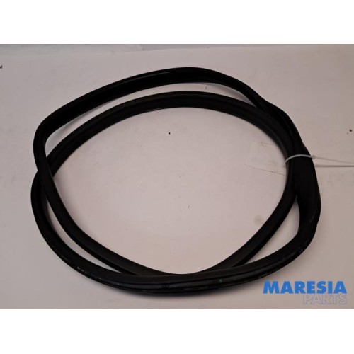 Renault - Captur - Rear door seal 4-door, right