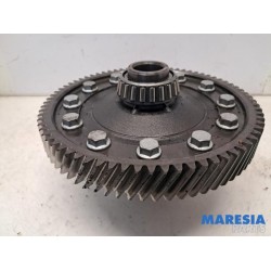 Fiat - Ducato - Front differential