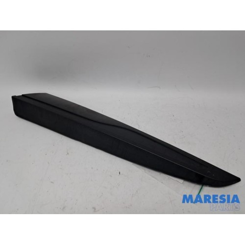 Renault - Clio - Door strip