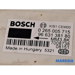Peugeot - 308 - Esp computer