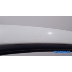Peugeot - Expert - Tür 2-türig rechts