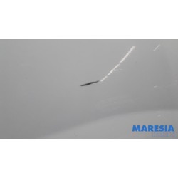 Renault - Kangoo - Front wing, left