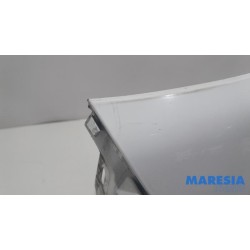 Renault - Kangoo - Front wing, left