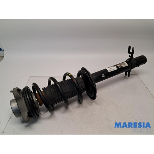 Peugeot - Boxer - Front shock absorber rod, right