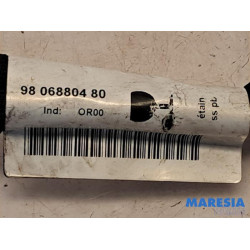 Citroen - C4 Cactus - Battery sensor