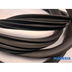Renault - Master - Portierrubber 2Deurs links