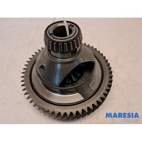 Renault - Kangoo - Differential vorne
