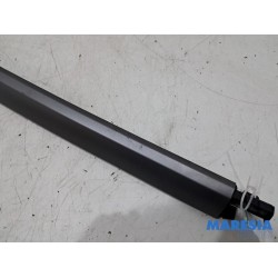 Citroen - C4 Grand Picasso - Dachleiste links