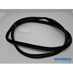 Citroen - C1 - Portierrubber 4Deurs links-achter
