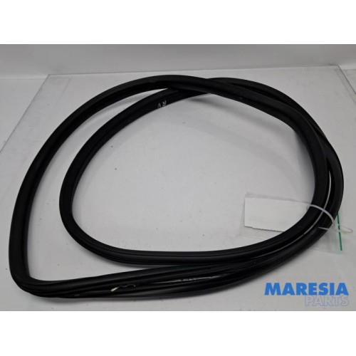 Citroen - C1 - Front door seal 4-door, right