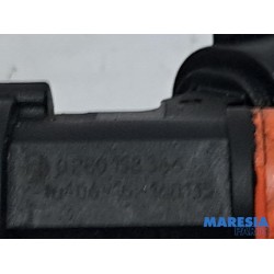 Renault - Clio - Injector (petrol injection)