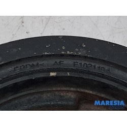 Renault - Clio - Krukas Poelie