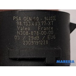 Peugeot - 208 - PDC Sensor