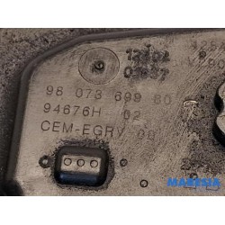 Peugeot - 308 - EGR valve