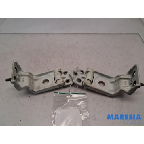 Renault - Master - Rear door hinge, right