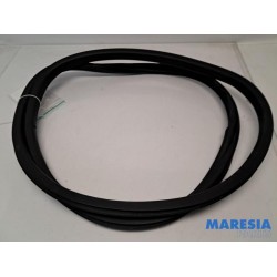 Peugeot - 208 - Front door seal 4-door, left