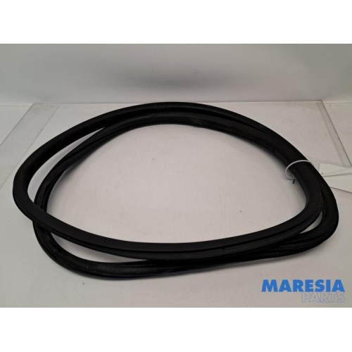 Peugeot - 208 - Front door seal 4-door, left