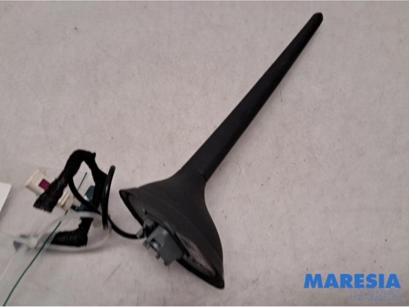 Fiat - 500 - Antenne
