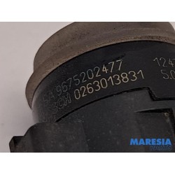 Peugeot - 308 - PDC Sensor