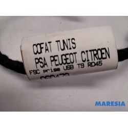 Peugeot - 308 - AUX/USB aansluiting