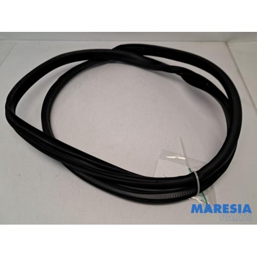 Renault - Captur - Rear door seal 4-door, right