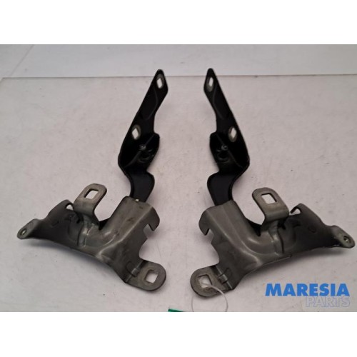 Renault - Captur - Bonnet Hinge