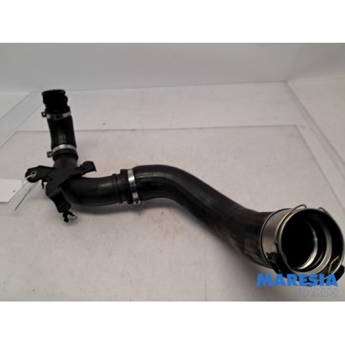 Renault - Clio - Intercooler hose