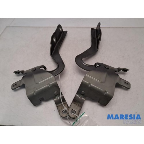 Renault - Clio - Bonnet Hinge