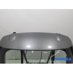 Renault - Clio - Tailgate