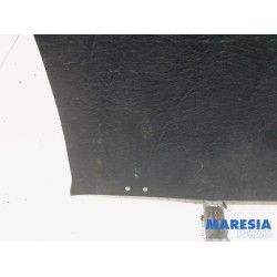 Renault - Clio - Boot mat