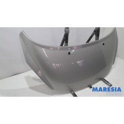 Peugeot - 207 - Motorhaube