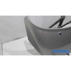 Peugeot - 207 - Motorhaube