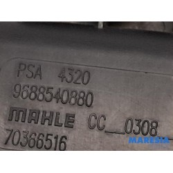 Peugeot - 3008 - Kohlenstofffilter