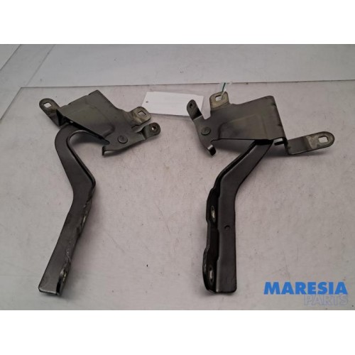 Renault - Clio - Bonnet Hinge